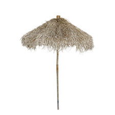 2.4m Bamboo and Dried Grass